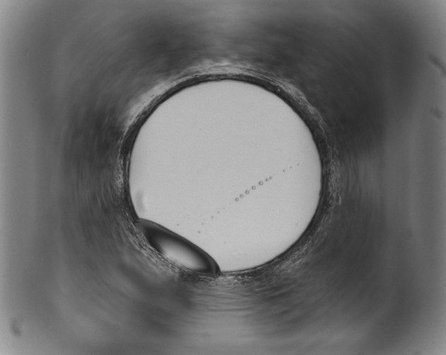 X0000099441167200806061037