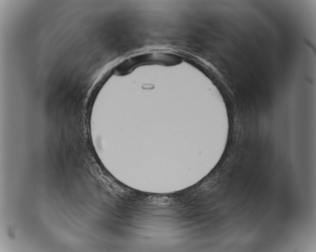 X0000099441168200806061037