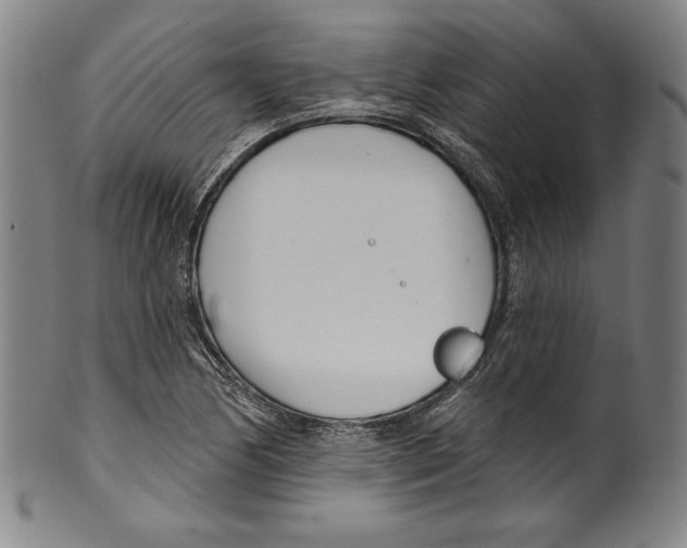 X0000099441170200806061037