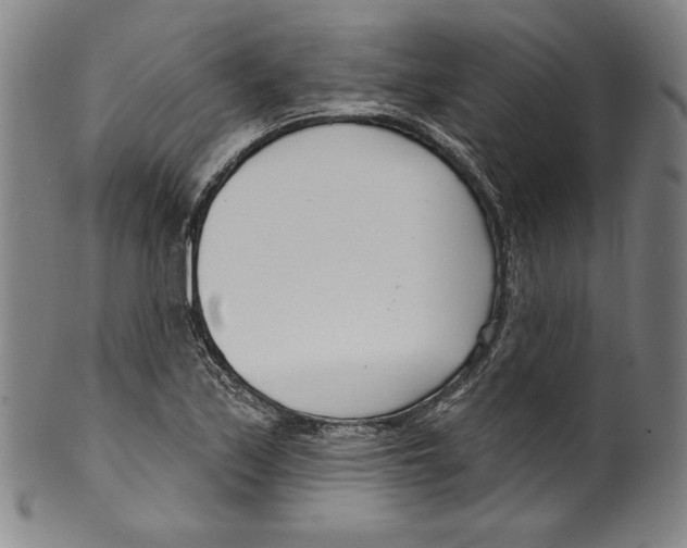 X0000099441171200806061037