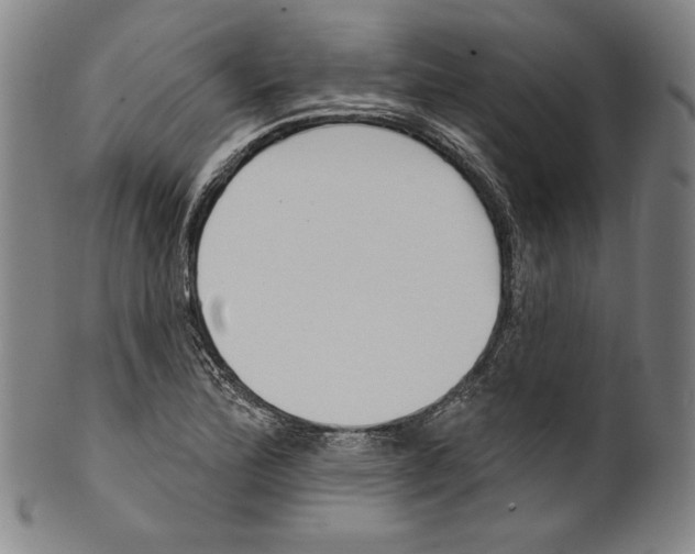 X0000099441172200806061037