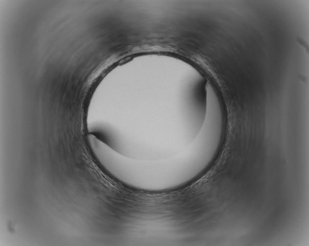 X0000099441173200806061037