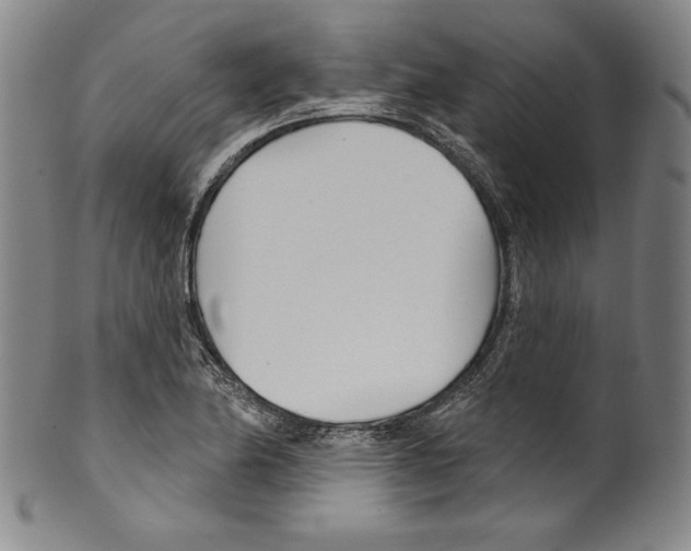 X0000099441174200806061037