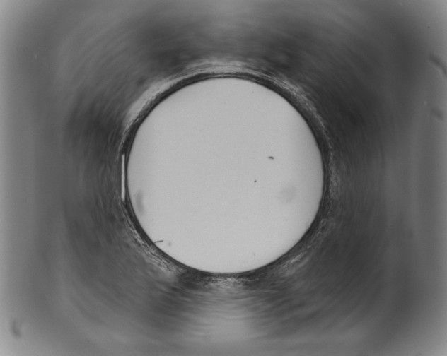 X0000099441175200806061037