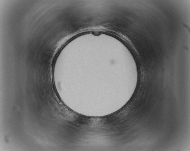 X0000099441176200806061037