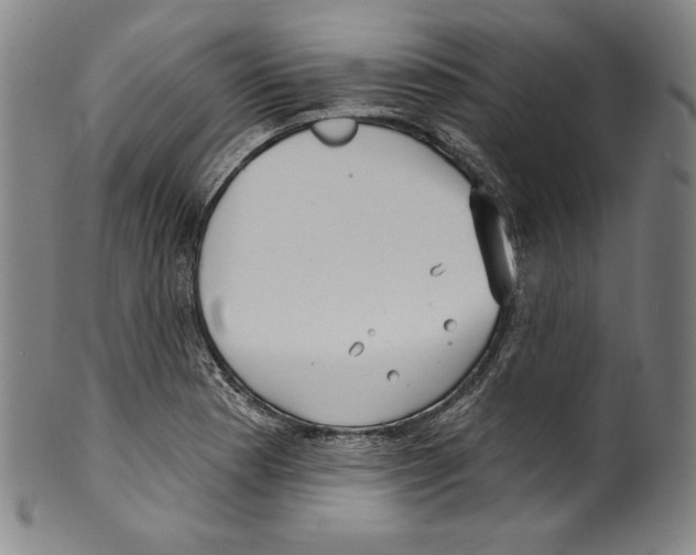 X0000099441177200806061037