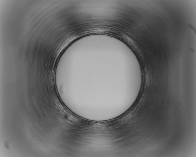 X0000099441178200806061037