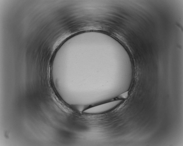 X0000099441179200806061037