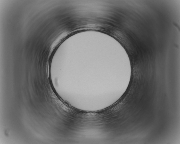 X0000099441180200806061037