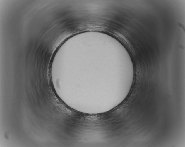 X0000099441182200806061036