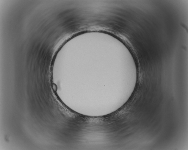 X0000099441183200806061036