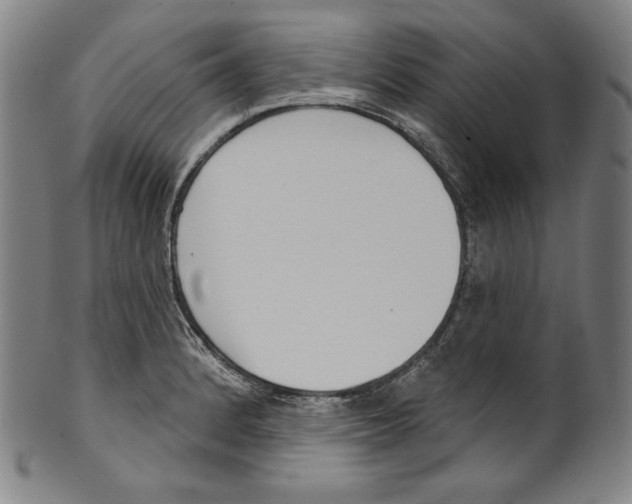 X0000099441184200806061036