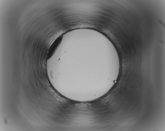 X0000099441185200806061036