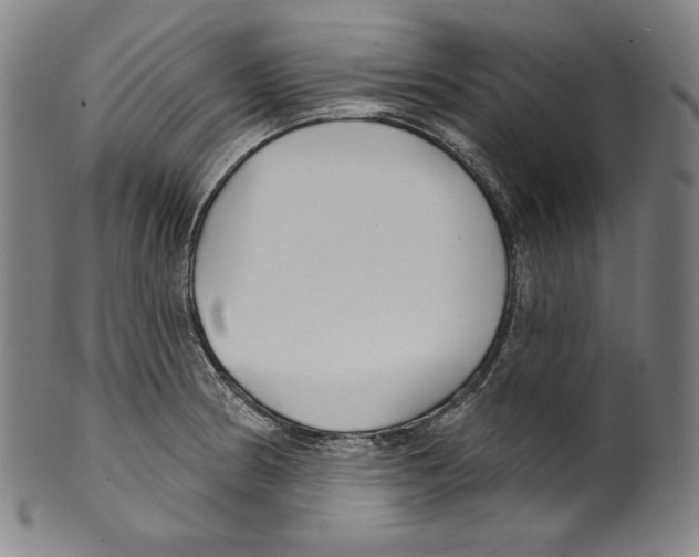 X0000099441186200806061036