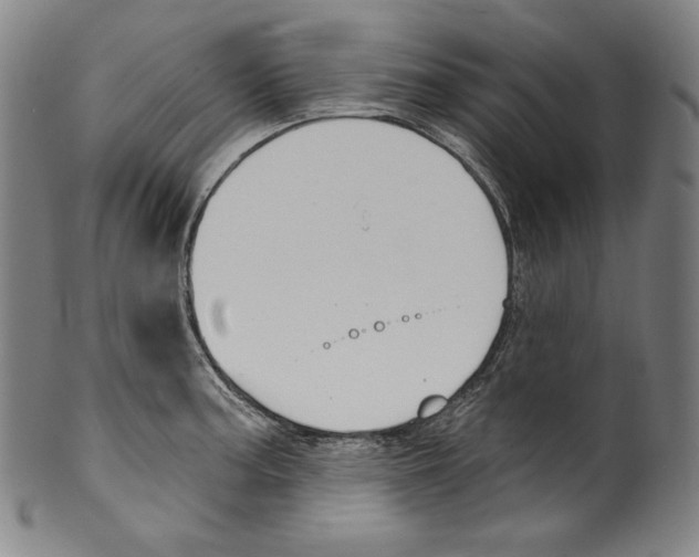 X0000099441187200806061036