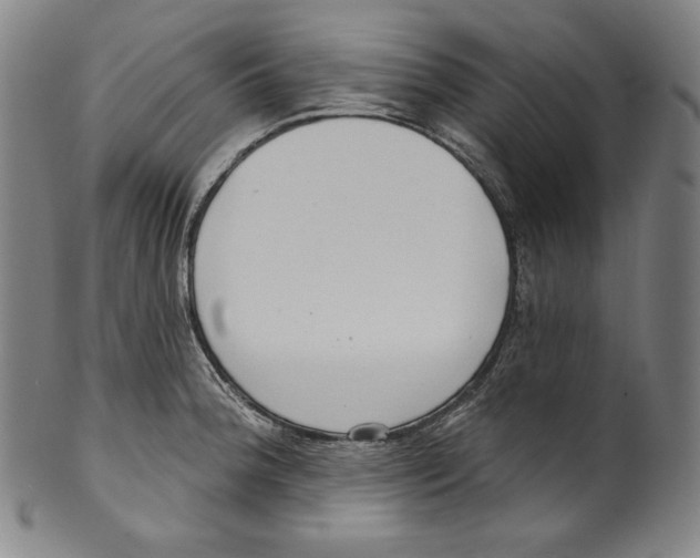 X0000099441188200806061036