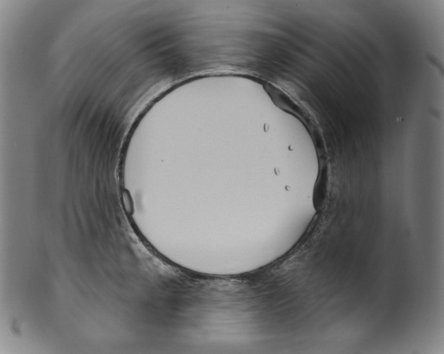 X0000099441189200806061036