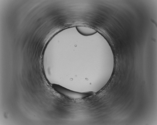 X0000099441190200806061036