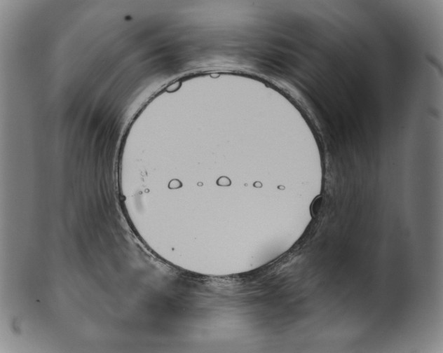 X0000099441191200806061036