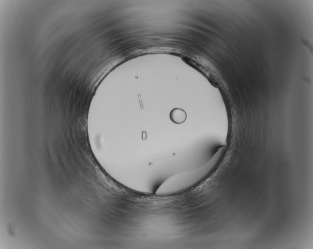 X0000099441193200806061036