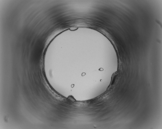 X0000099441195200806061036