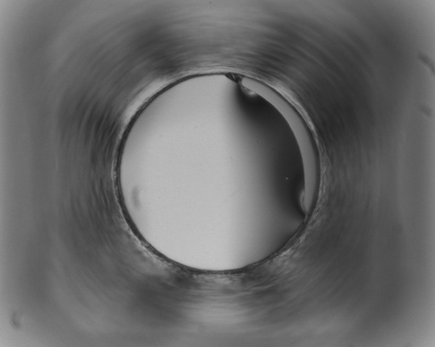 X0000099441197200806061036