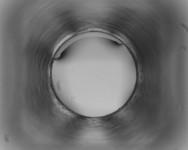 X0000099441198200806061036