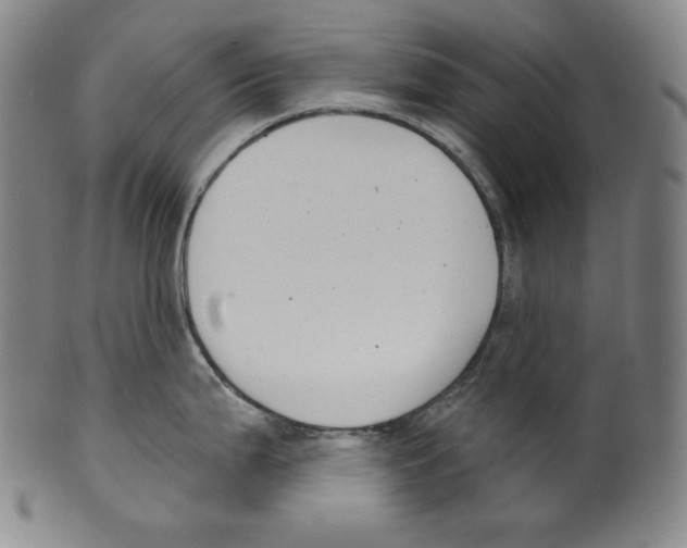 X0000099441199200806061036