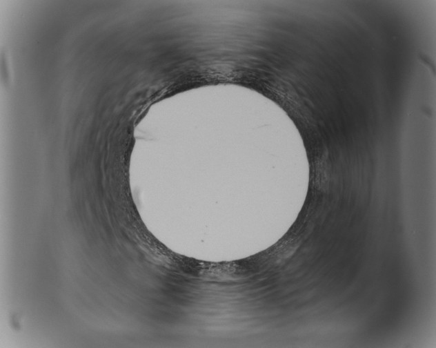 X0000099441201200806061035