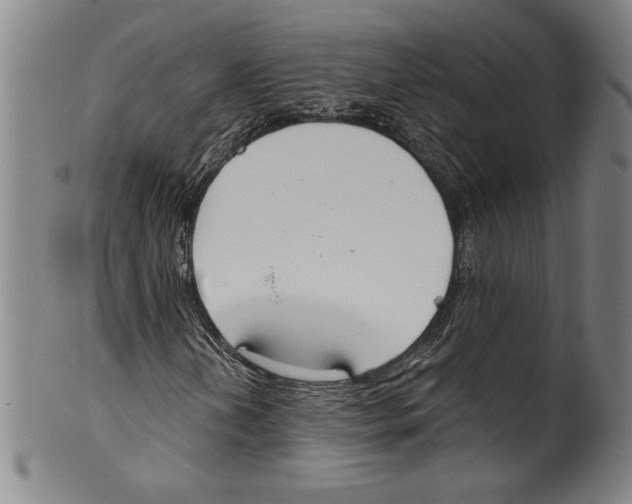 X0000099441202200806061035