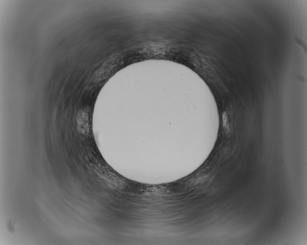 X0000099441203200806061035