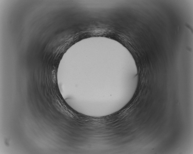 X0000099441204200806061035