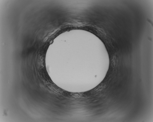 X0000099441205200806061035