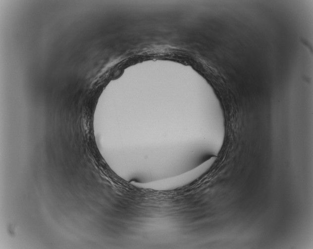 X0000099441206200806061035