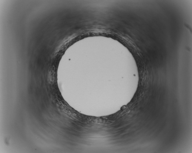 X0000099441207200806061035