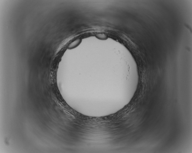 X0000099441208200806061035