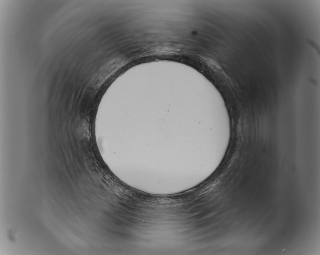 X0000099441209200806061035