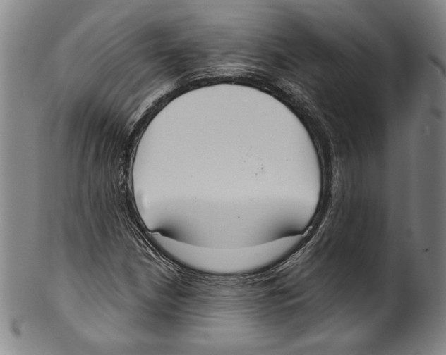 X0000099441210200806061036