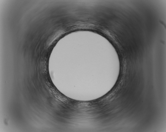 X0000099441211200806061036