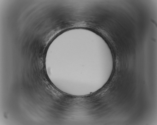 X0000099441212200806061036