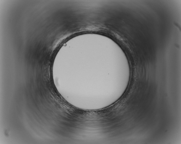 X0000099441214200806061036