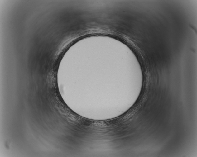 X0000099441215200806061036