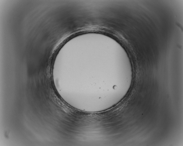 X0000099441216200806061036