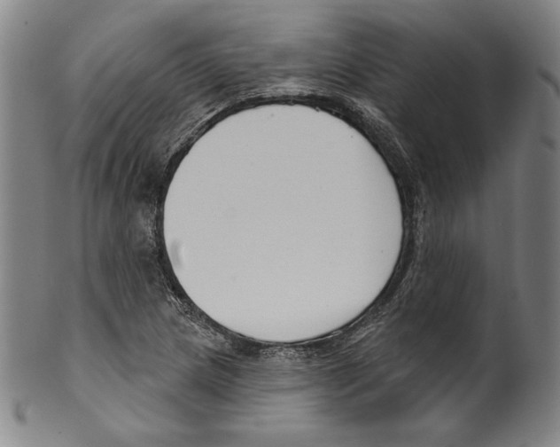 X0000099441217200806061036