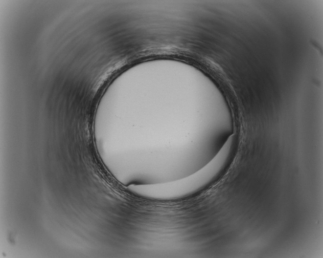 X0000099441218200806061036