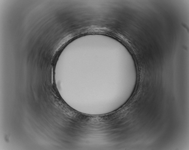 X0000099441219200806061036