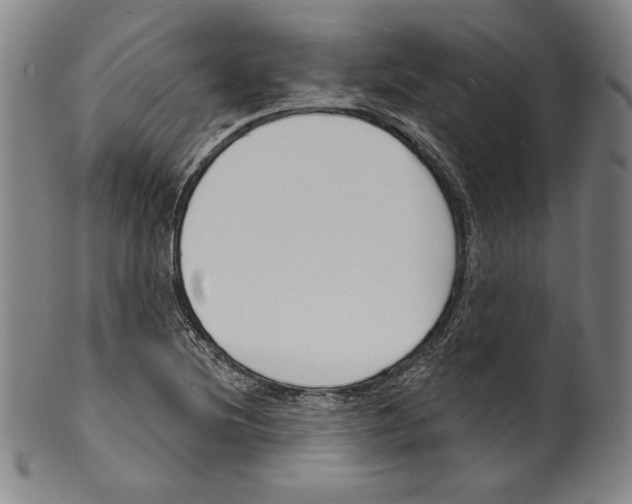 X0000099441220200806061036