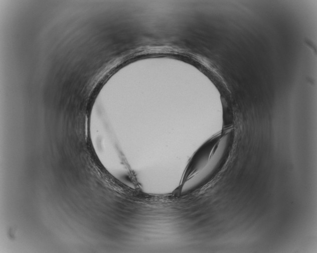 X0000099441221200806061036