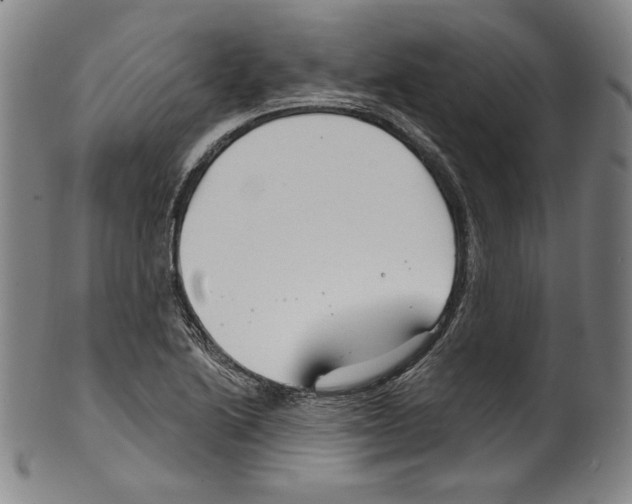 X0000099441222200806061036