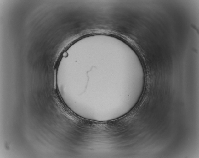 X0000099441223200806061036